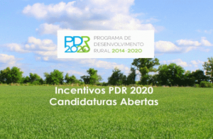 candidatura